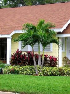 نماذج من أعمال قص الأشجار وتكريب النخيل في جدة ومكة المكرمة