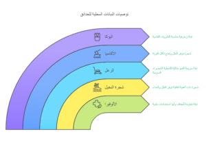 تنسيق الحدائق