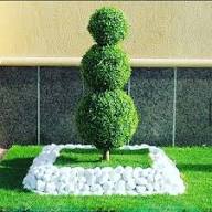 نماذج من أعمال قص الأشجار وتكريب النخيل في جدة ومكة المكرمة